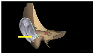 Education 15 01267 i003