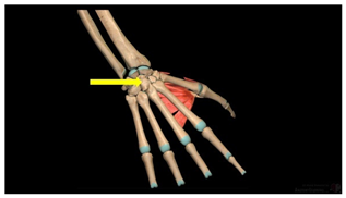Education 15 01267 i007
