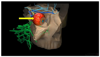 Education 15 01267 i008