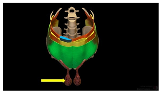 Education 15 01267 i011