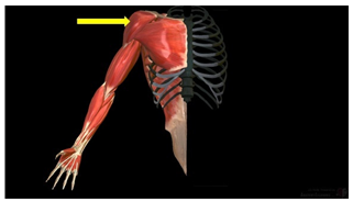 Education 15 01267 i012