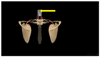 Education 15 01267 i014
