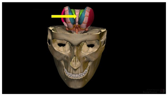 Education 15 01267 i016