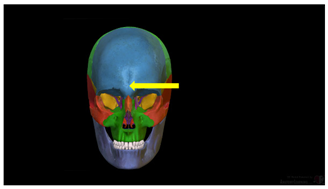 Education 15 01267 i017