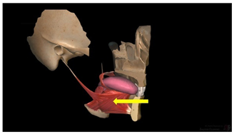Education 15 01267 i018
