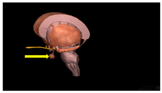Education 15 01267 i019