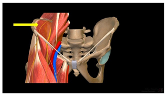 Education 15 01267 i020