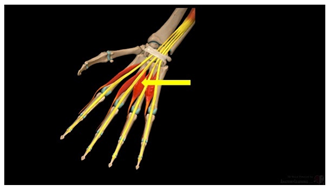 Education 15 01267 i022