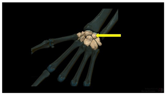 Education 15 01267 i023