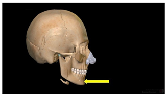 Education 15 01267 i024