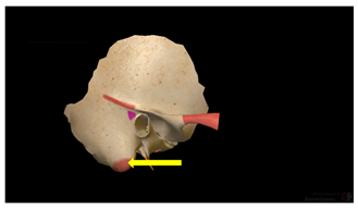 Education 15 01267 i025