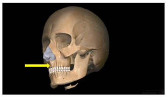 Education 15 01267 i026