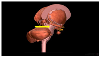 Education 15 01267 i027