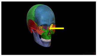 Education 15 01267 i028