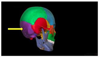 Education 15 01267 i029