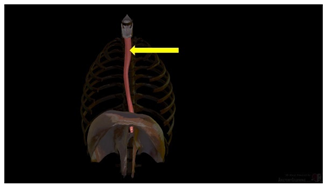 Education 15 01267 i030
