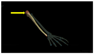 Education 15 01267 i031
