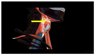 Education 15 01267 i032