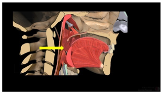 Education 15 01267 i033