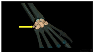 Education 15 01267 i037