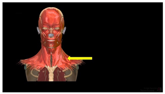 Education 15 01267 i038