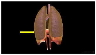 Education 15 01267 i039