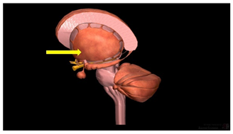 Education 15 01267 i040