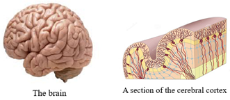 Education 15 01267 i041