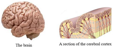 Education 15 01267 i044
