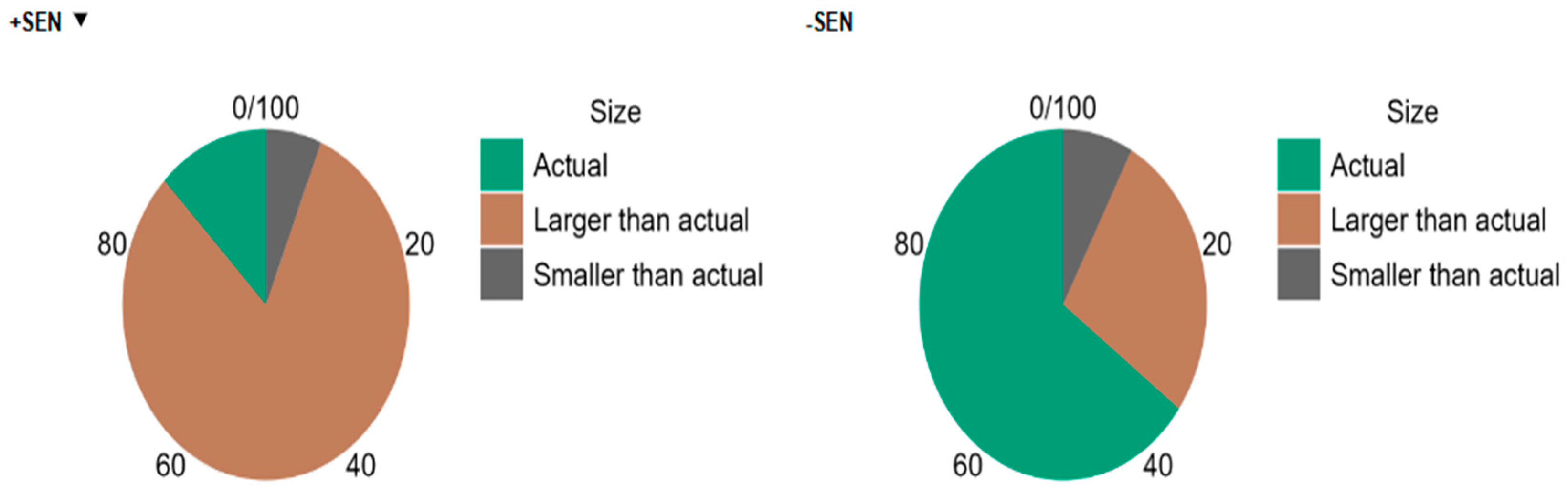 Education 15 01299 g010