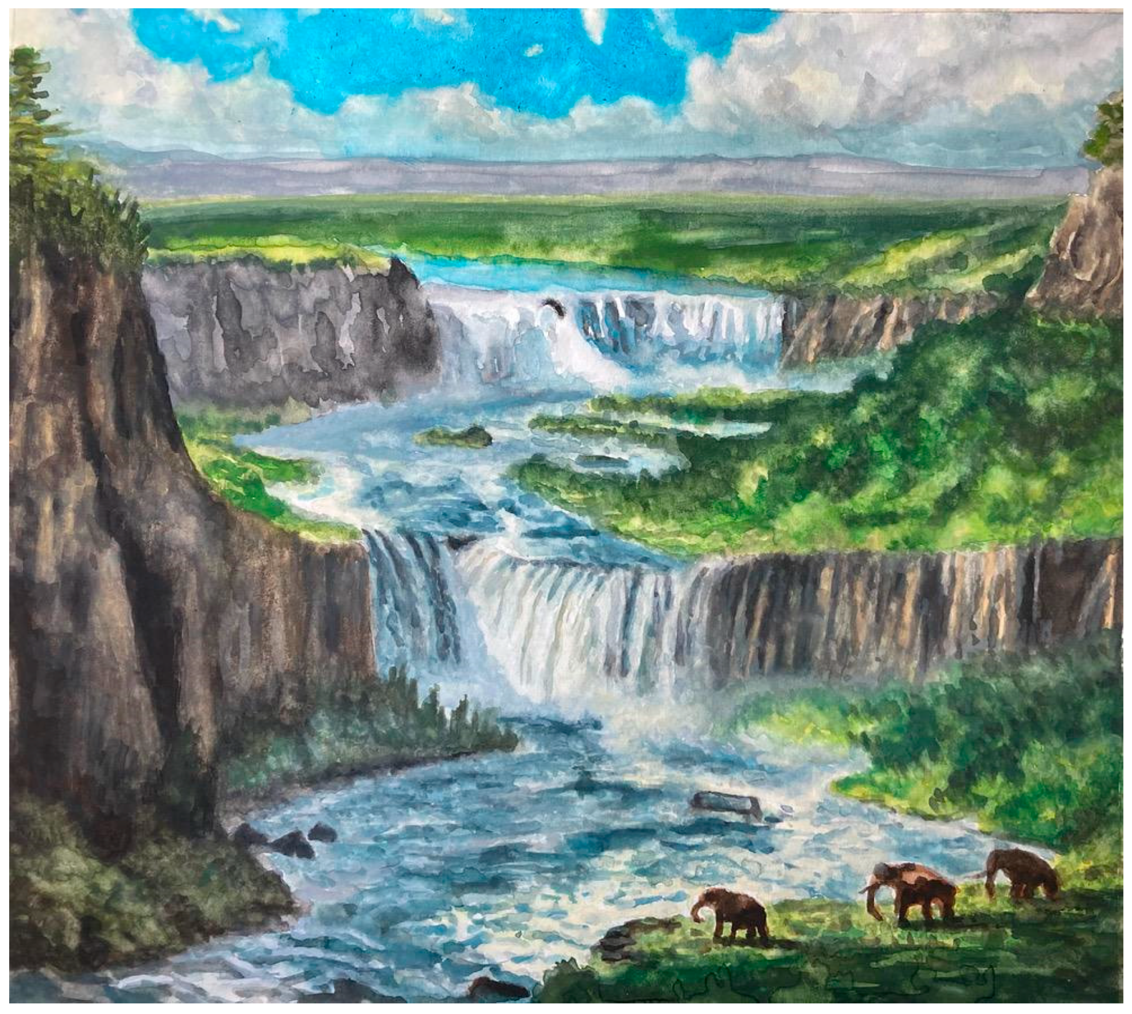 Education 15 01449 g003