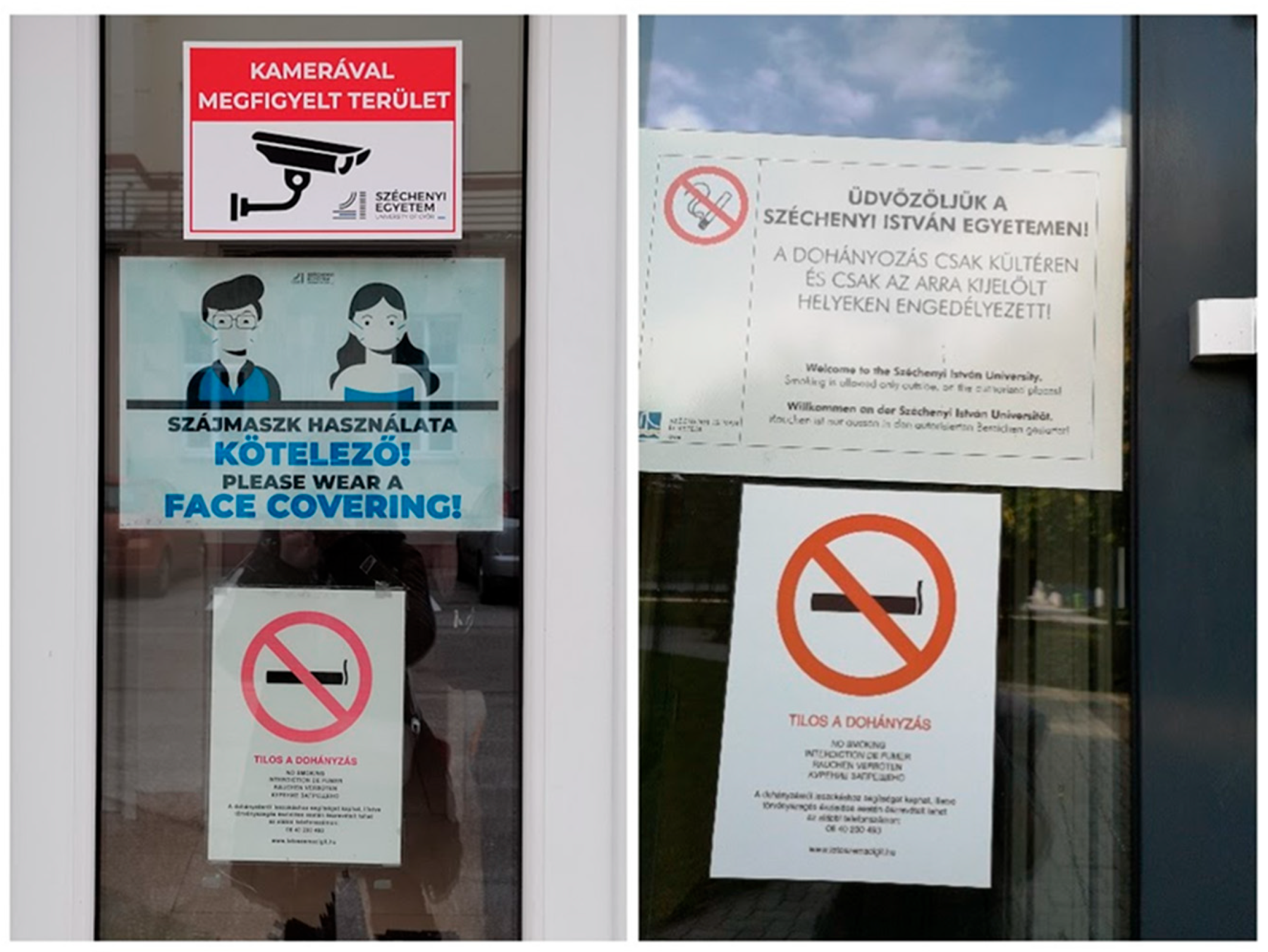 Education 15 01466 g002