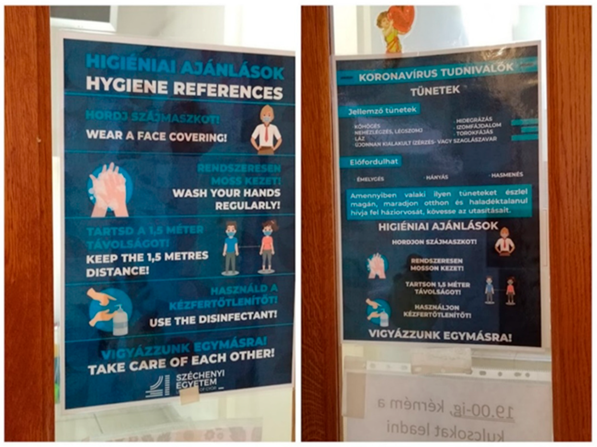 Education 15 01466 g004