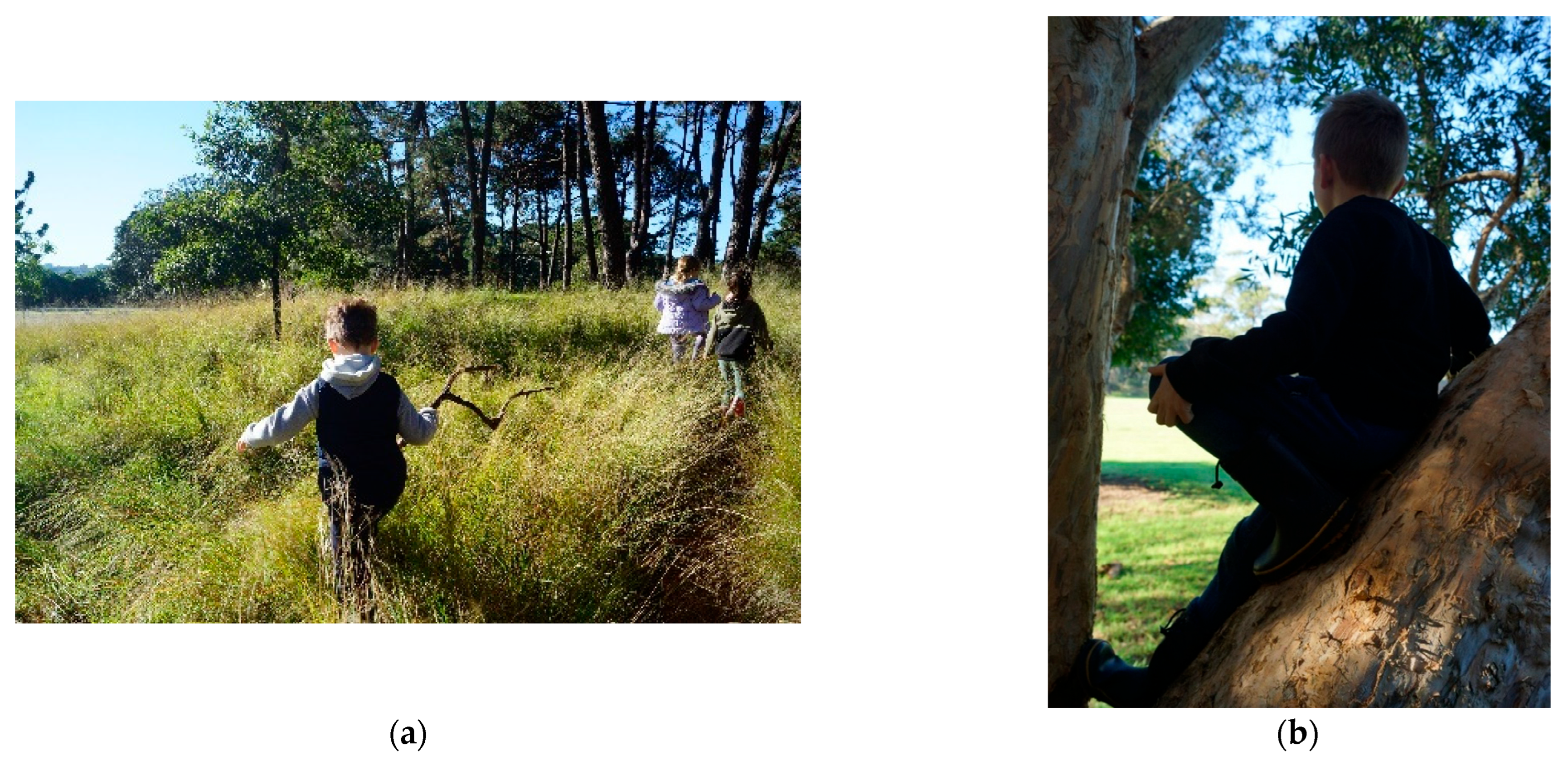 Education 15 01487 g005 Education 15 01487 g005