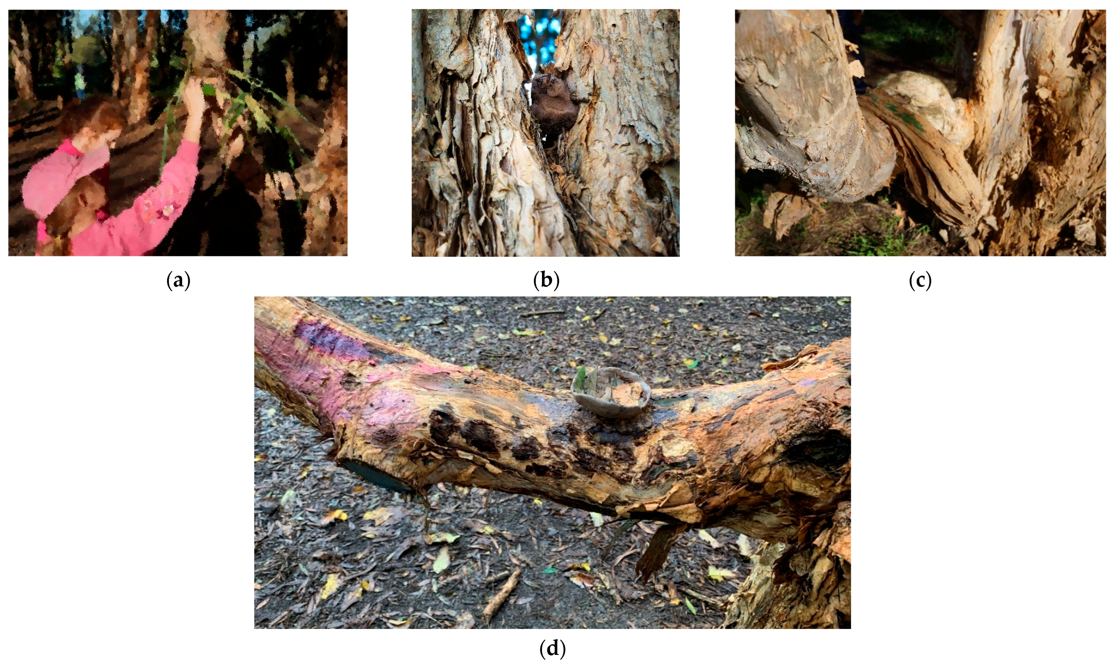 Education 15 01487 g009 Education 15 01487 g009