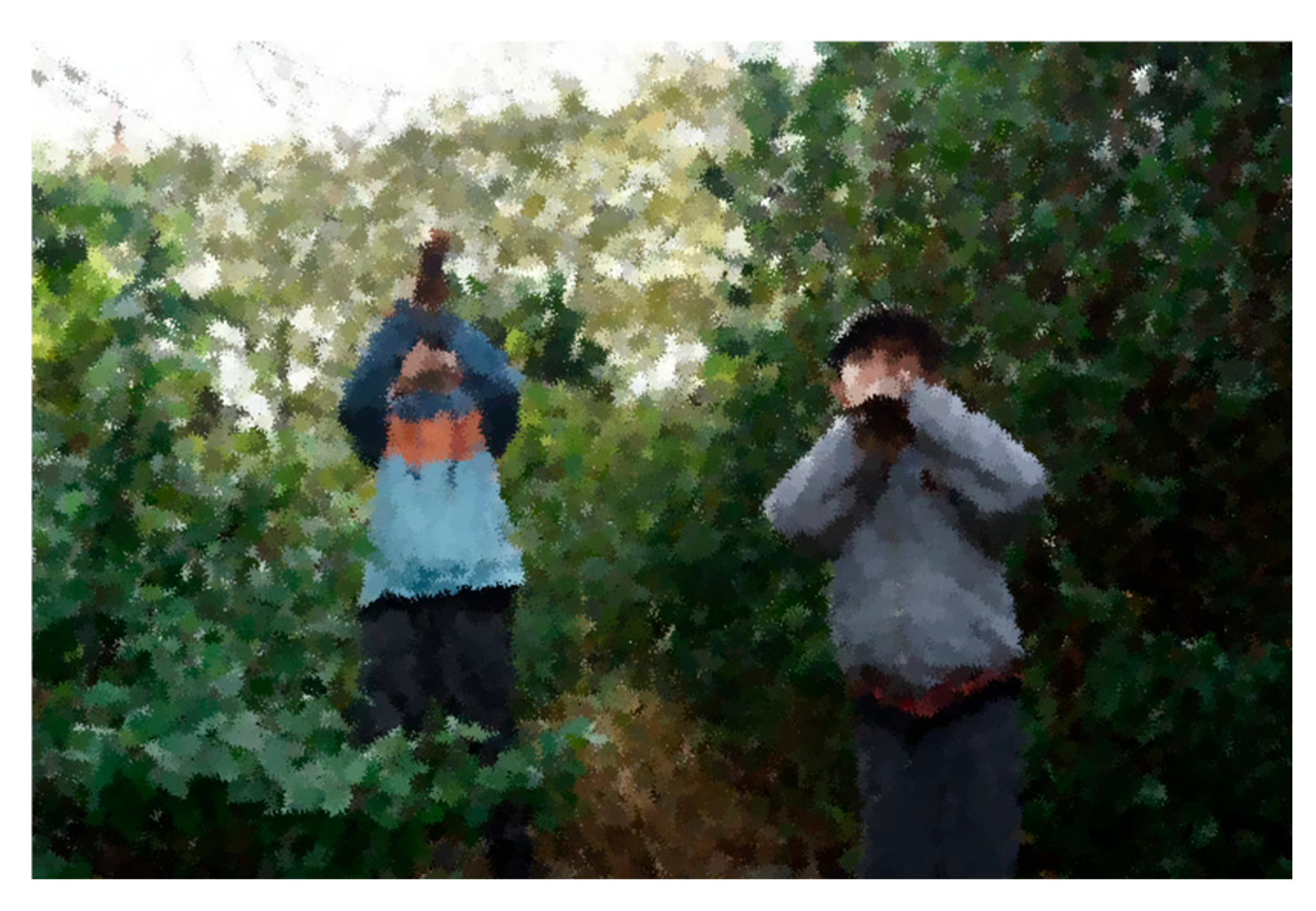 Education 15 01487 g011 Education 15 01487 g011