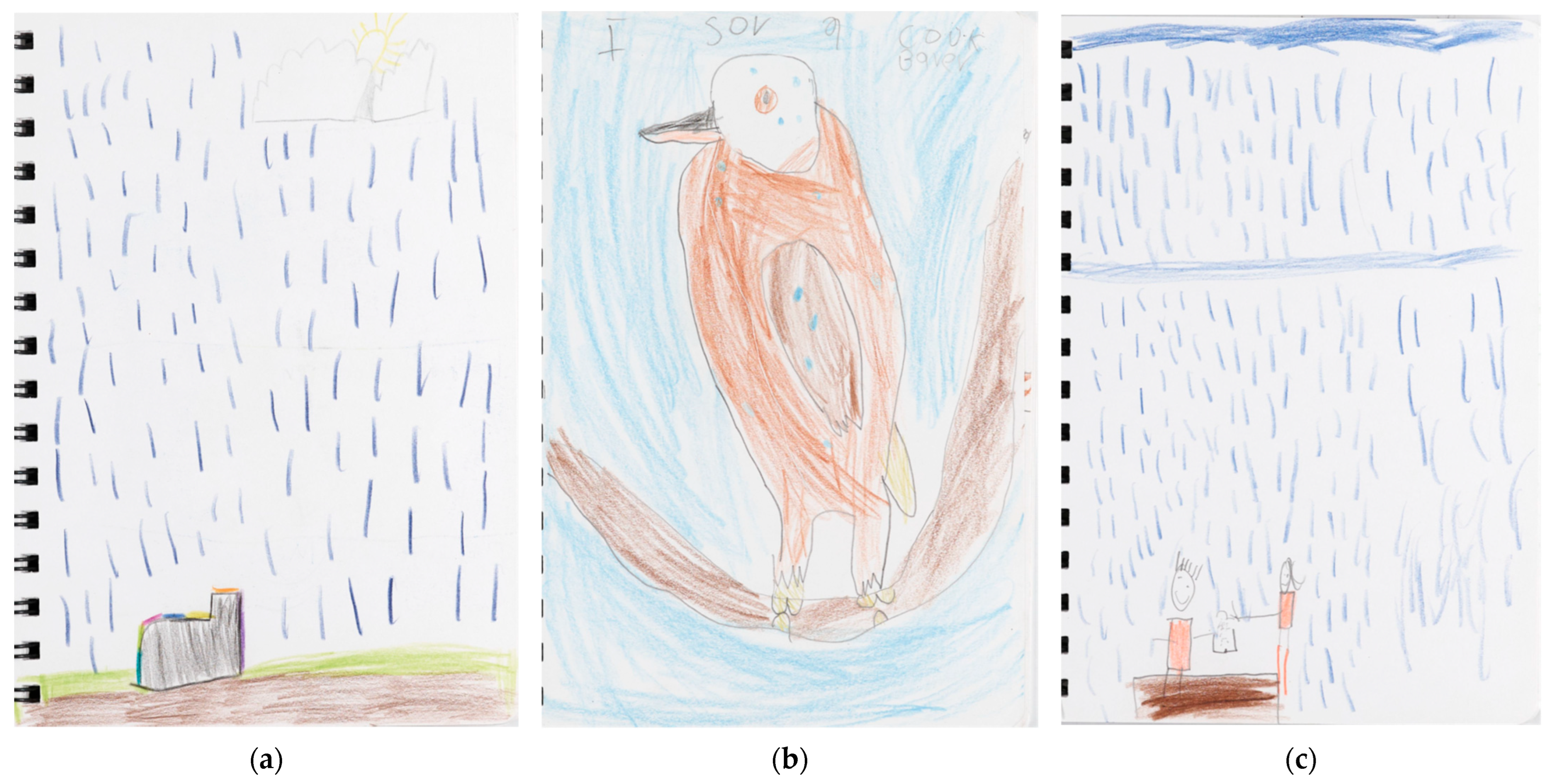 Education 15 01487 g017 Education 15 01487 g017