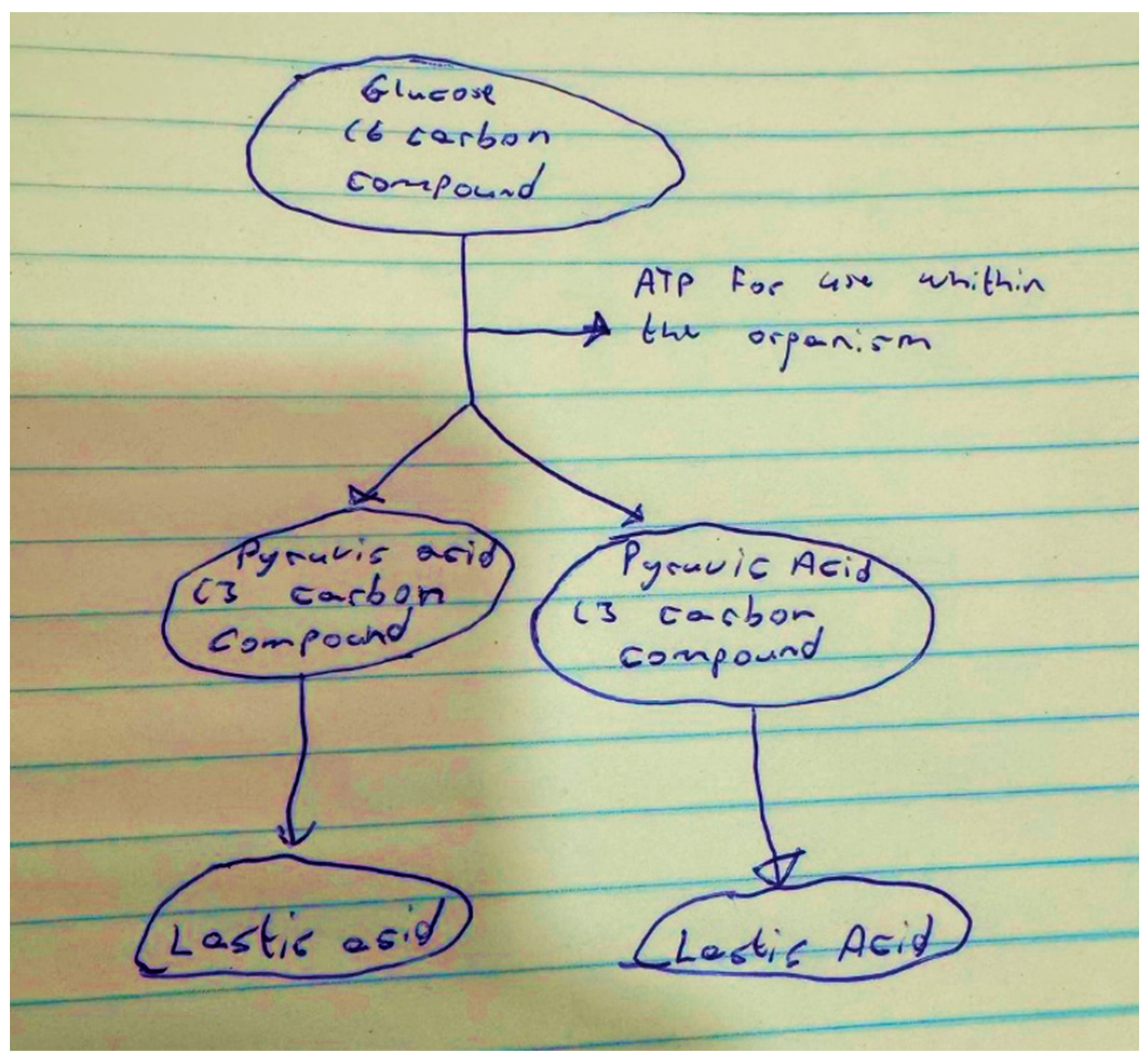 Education 15 01577 g003