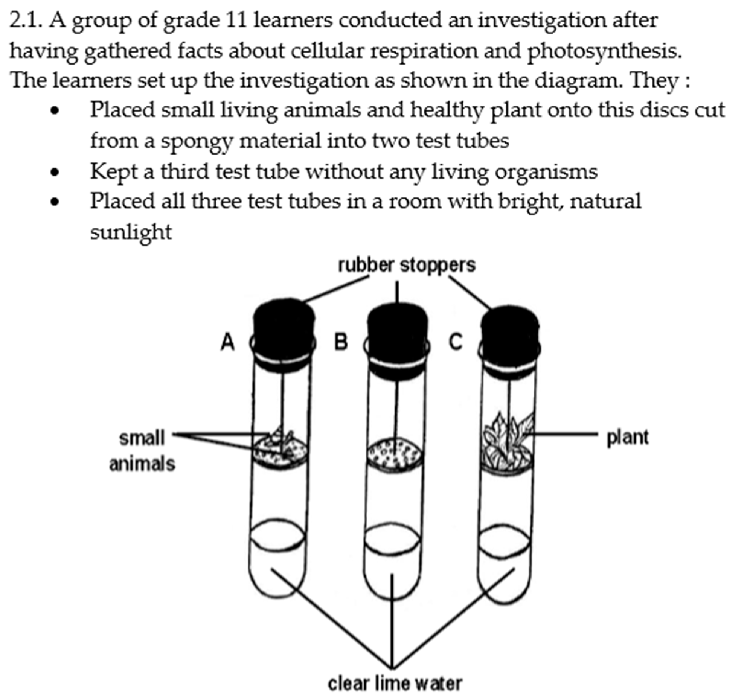 Education 15 01577 g006