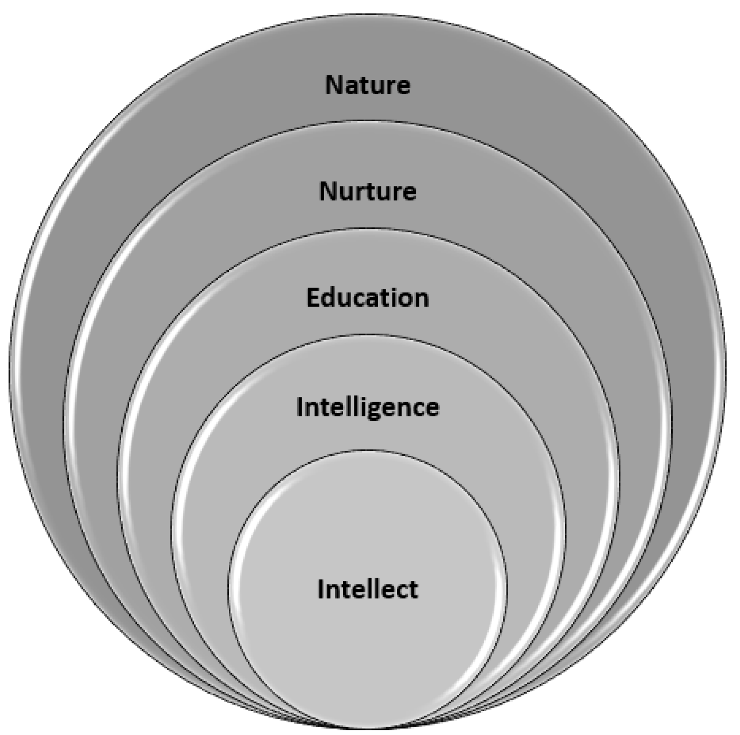 Education 15 01614 g002