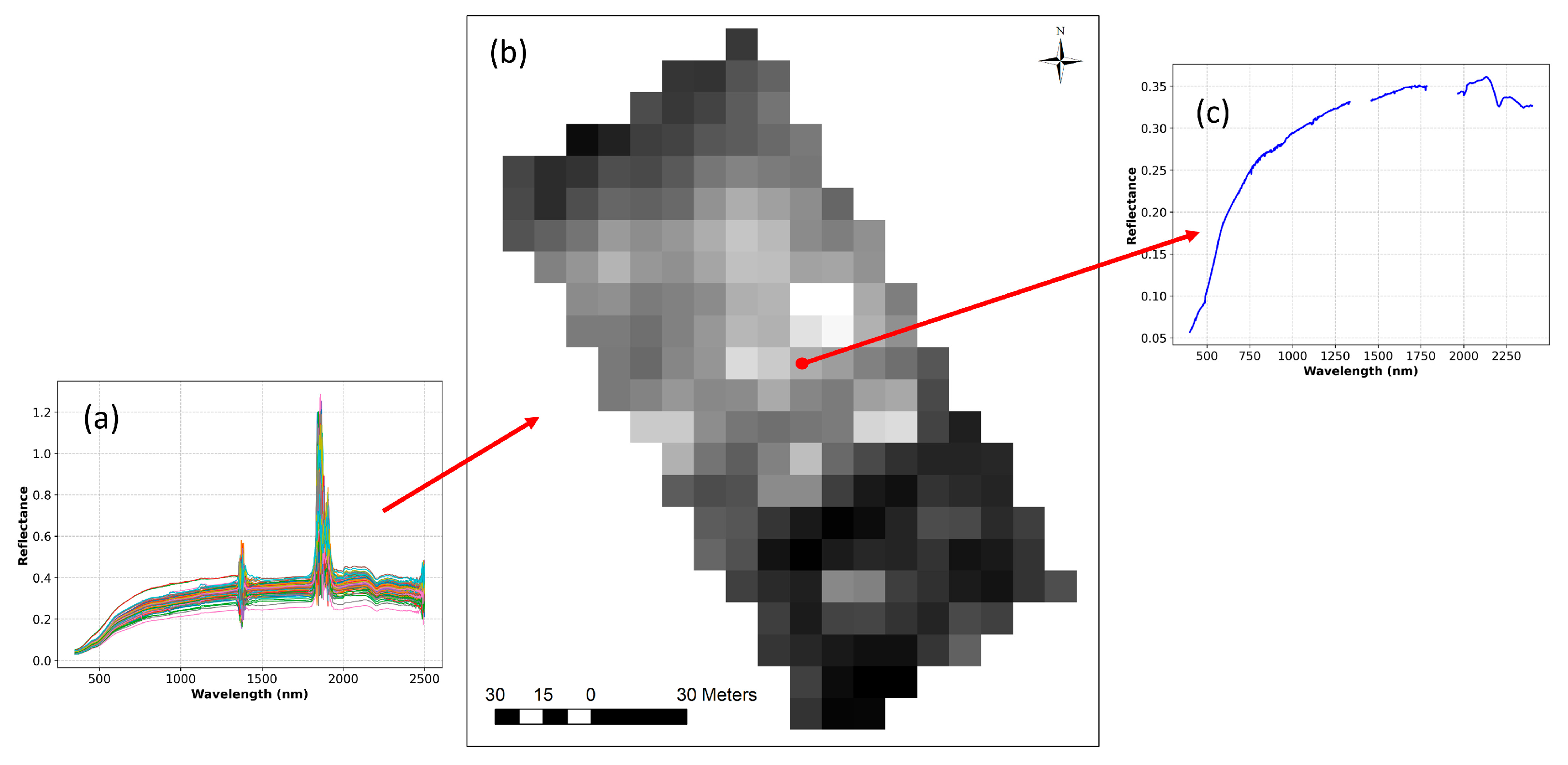Eesp 36 00003 g003 Eesp 36 00003 g003