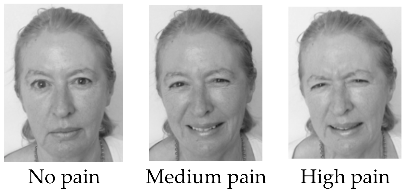 Ejihpe 10 00083 g001