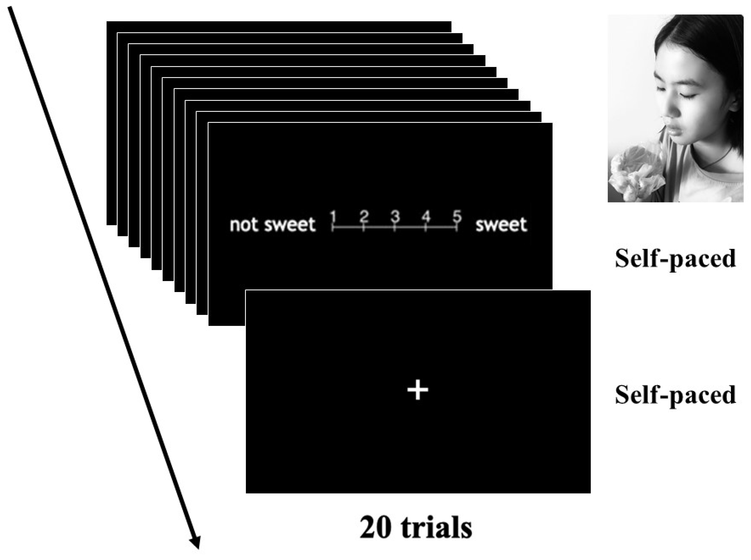 Ejihpe 11 00074 g001