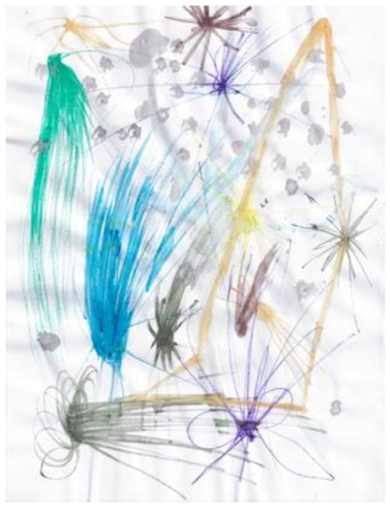 Ejihpe 11 00118 g013