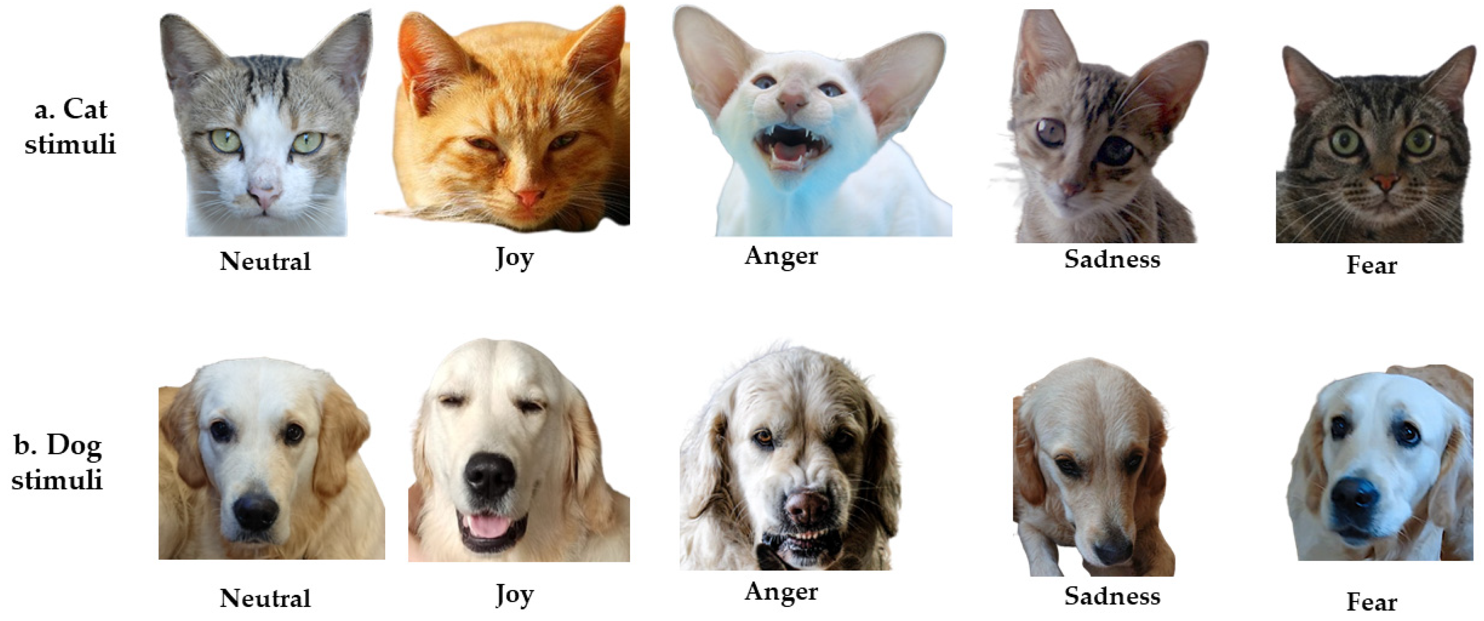 Ejihpe 15 00013 g001