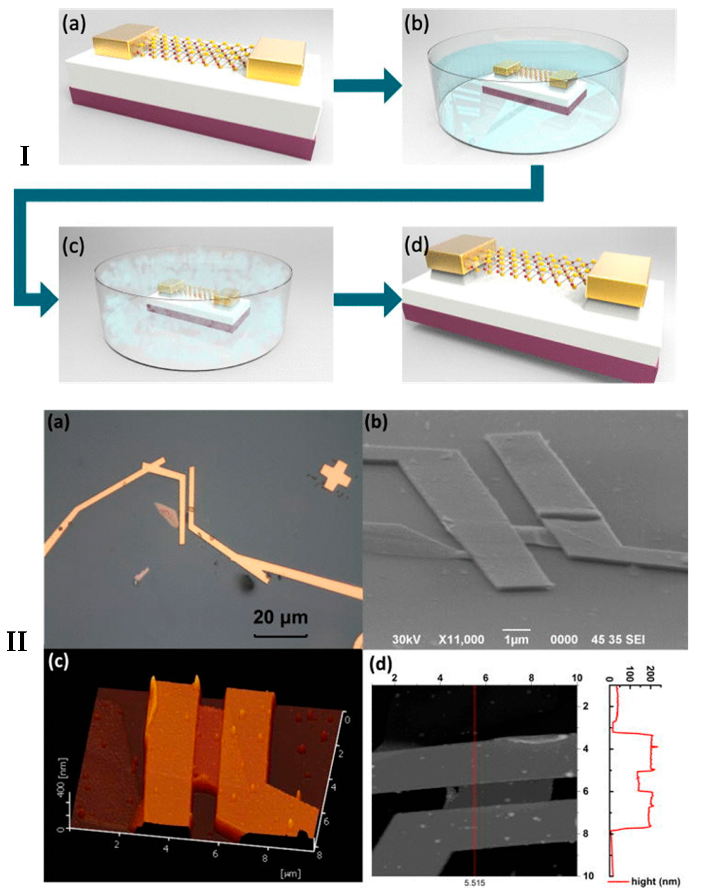 Electrochem 01 00017 g009 Electrochem 01 00017 g009
