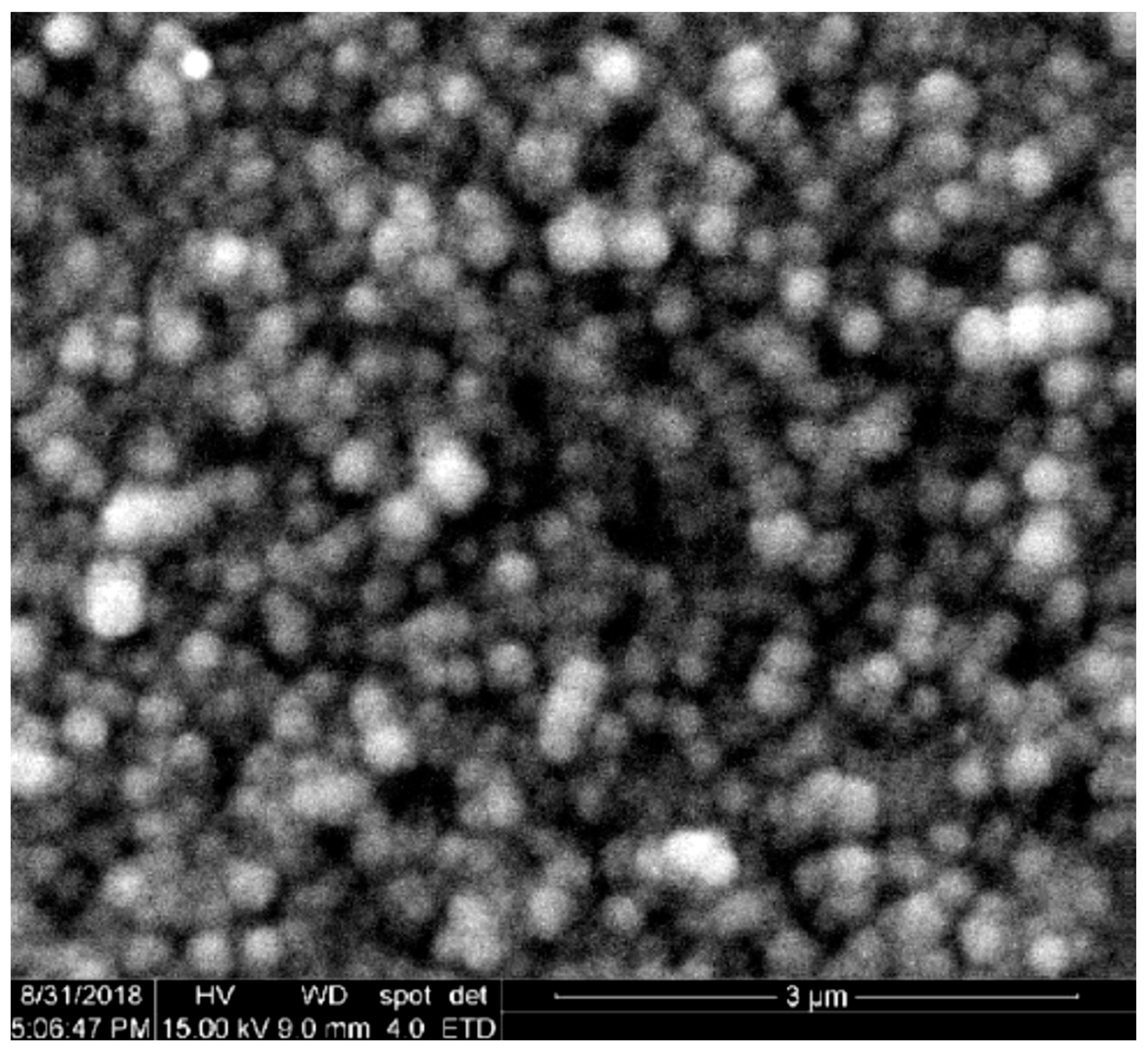 Electrochem 01 00019 g004