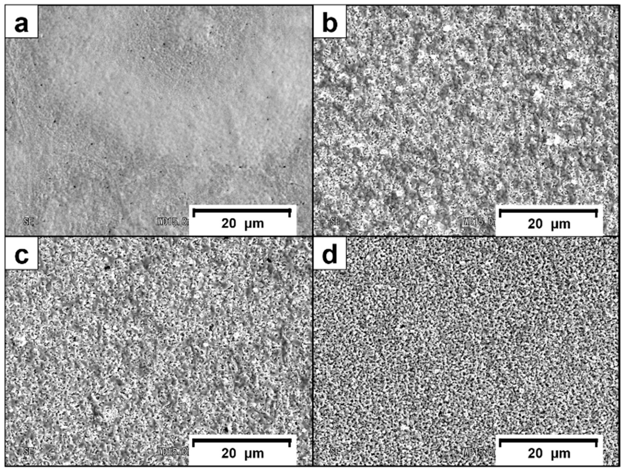 Electrochem 01 00025 g001 Electrochem 01 00025 g001