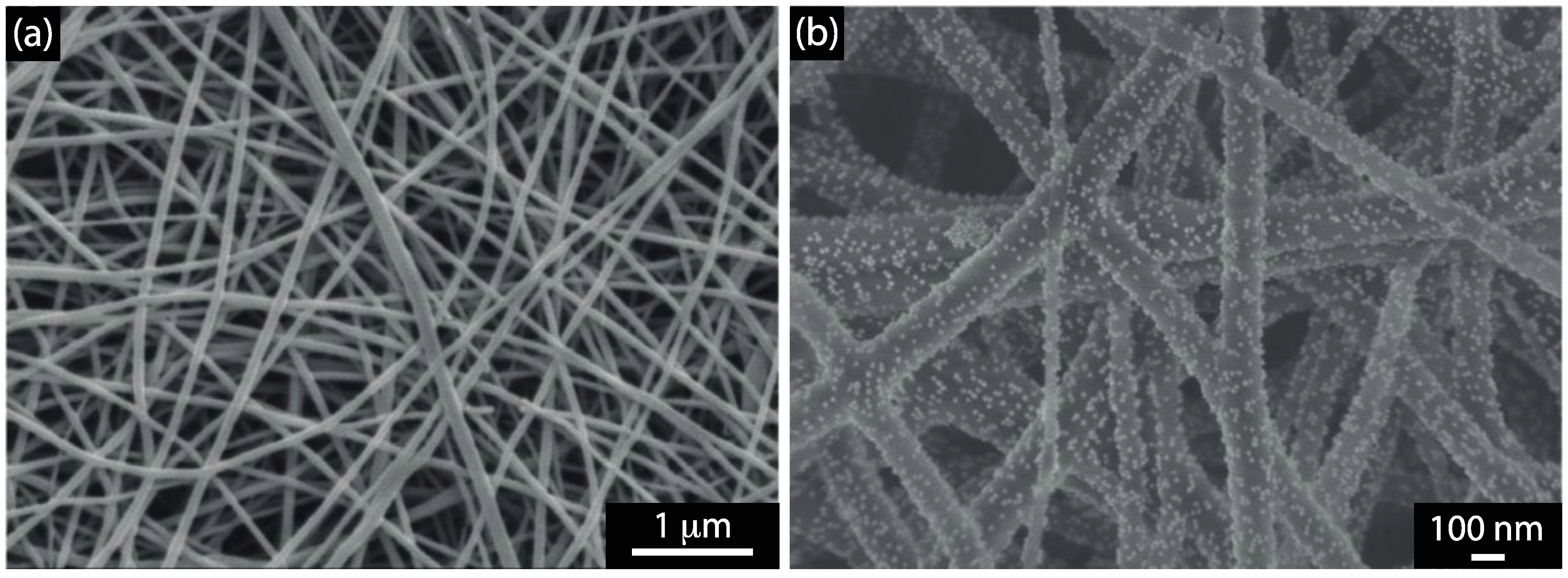 Electrochem 02 00004 g001