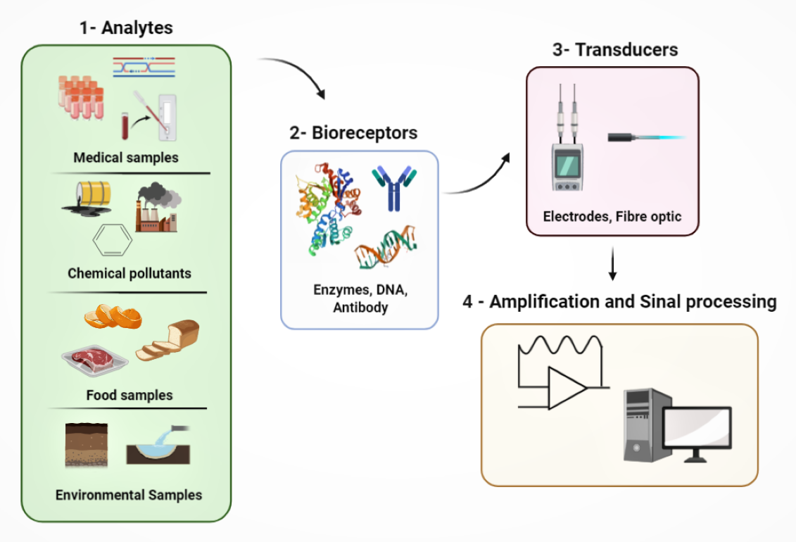 Electrochem Free Full Text Designing Of Nanomaterials Based Enzymatic Biosensors Synthesis Properties And Applications Html Electrochem Free Full Text Designing Of Nanomaterials Based Enzymatic Biosensors Synthesis Properties And Applications Html